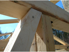 ������ ��������� �����