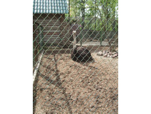 DSCF6058.JPG