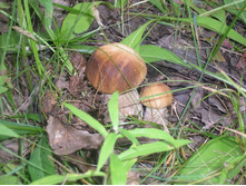 ����������� 89654.jpg