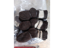 �������, ������ # 21