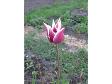 ��������� � ����� ������ \"���� 1\"