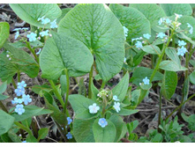 ��������� ���������