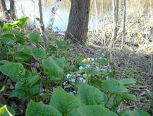 ��������� ��������� 2