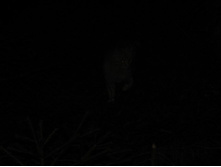 ���� ���, �� ��������� ����