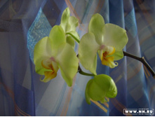 ��� ������� � ����� 03.2007