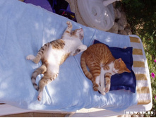 ����� �����)))