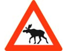 ��������� ����!