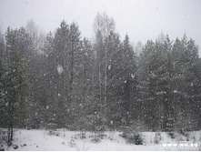 ��ԣ� �� ���...