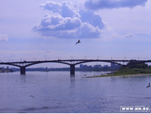 ���� 2006
