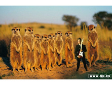 ������ :)