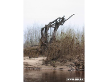 �������