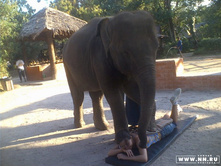 � ����� ������ ��������