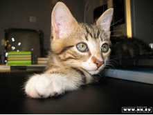 Moby ��� ���� ���