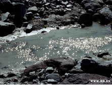 �����20003 copy