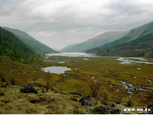 �����19970001 copy