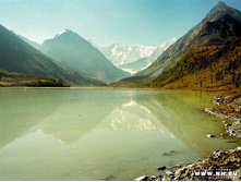 �����10003 copy