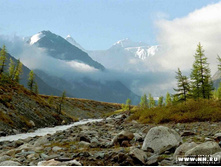 �����20002 copy