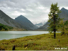 �����19970012 copy