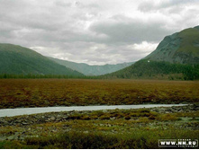 �����19970013 copy