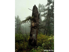 �����19970023 copy