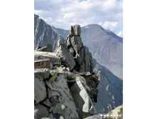 �����19970040 copy