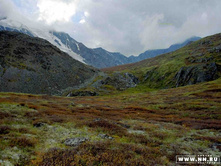 �����19970058 copy