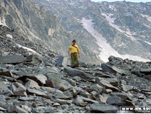 �����19970050 copy