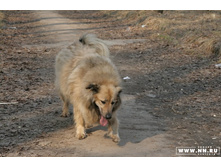 ���� � �� ���� �����