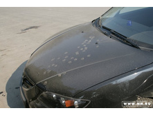 ������� ���������