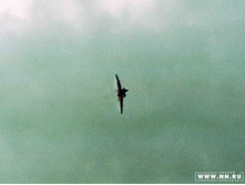 ����990144 copy