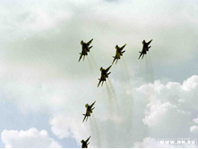 ����990066 copy