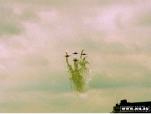 ����990070 copy