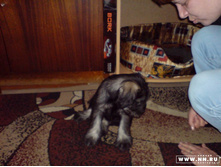 �� ����� �� ��.....