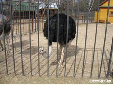 �� ����������� ��� �������!