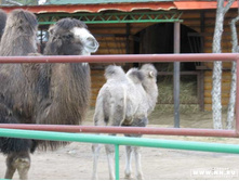 ���� � ��£��� :)