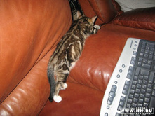 ����� ����- ��� ����� ������!