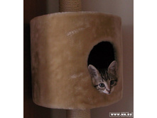 Moby. ���������.