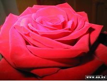 ������ ���