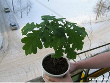 � � ��� ��� ����