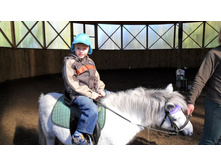 ���� - ���� ���� )