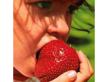 ��������� ���������� 45���..jpg