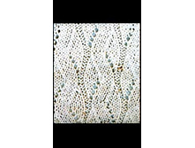 ������� ���� №1 (����� �� ������� ������� ������ � ���� )