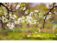 ����� ������_01.jpg