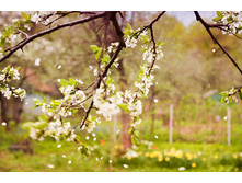 ����� ������_02.jpg