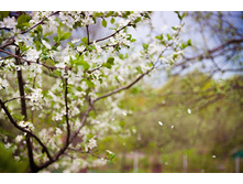 ����� ������.jpg