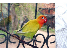 ����������� 202.jpg