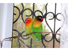 ����������� 291.jpg