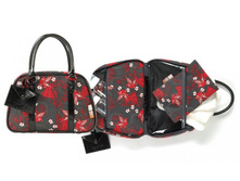 MINIBAGMEXICAN. ����� ��� �������� �����. ���� 1180�