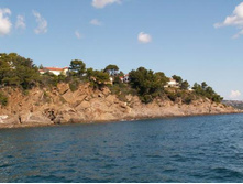 ��� ������