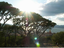 ���-�����